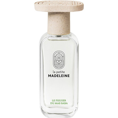 Le Figuier du Mas Saba